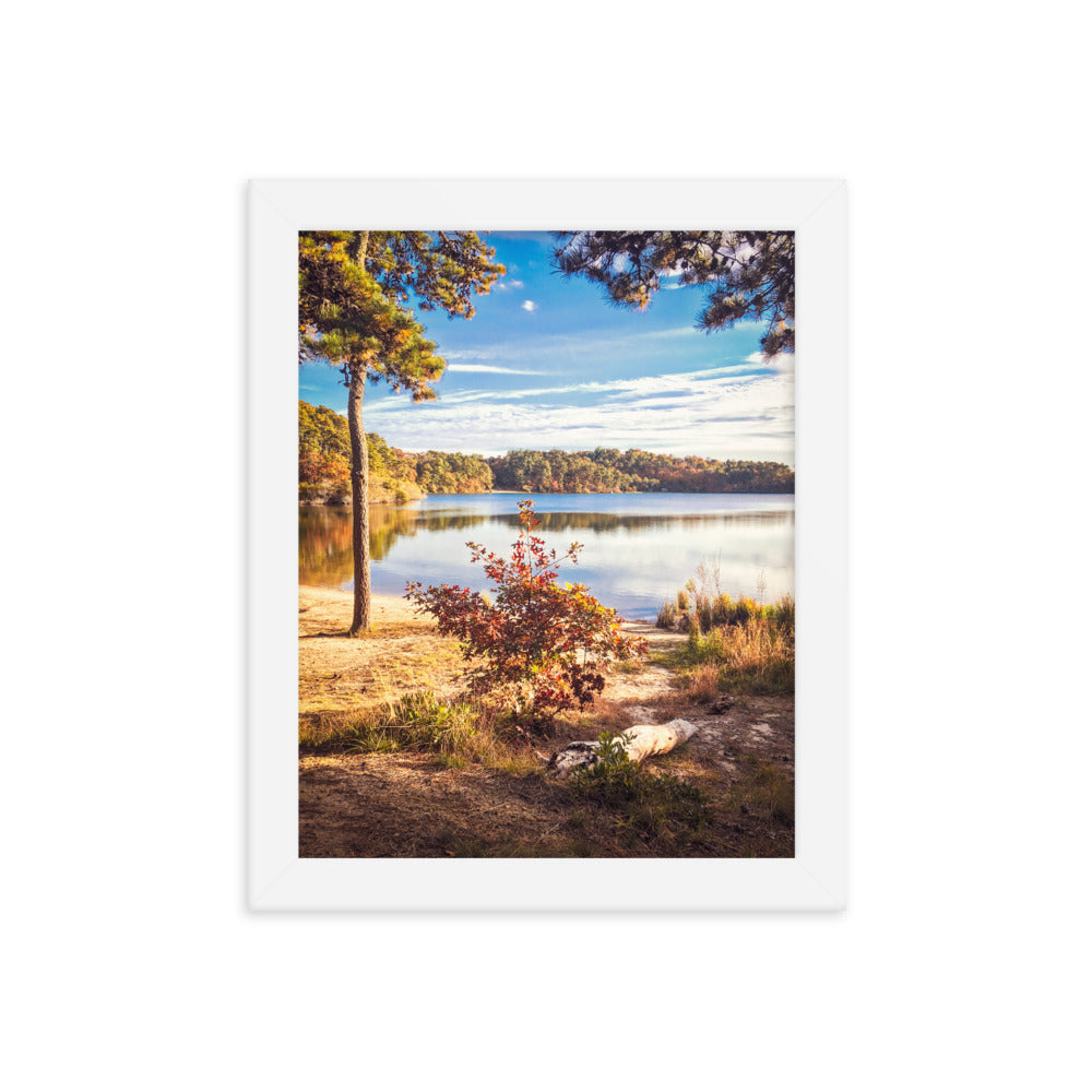 Walk in the Woods, Cape Cod Framed Print